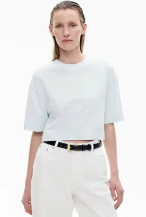 Sale | Tops & T Shirts^Witchery Crew Neck Crop T-Shirt FreshWhite